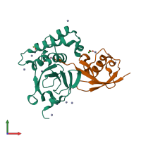 PDB entry 3phx coloured by chain, front view.