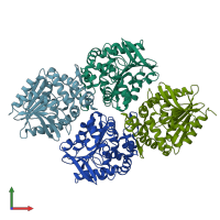 PDB entry 3pi6 coloured by chain, front view.