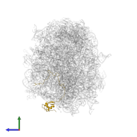 Large ribosomal subunit protein uL15 in PDB entry 3pio, assembly 1, side view.
