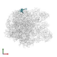 Large ribosomal subunit protein bL19 in PDB entry 3pip, assembly 1, front view.