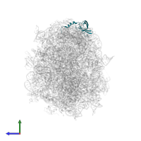 Large ribosomal subunit protein bL19 in PDB entry 3pip, assembly 1, side view.