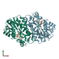 PDB entry 3pjd coloured by chain, front view.