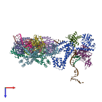 PDB entry 3pla coloured by chain, top view.