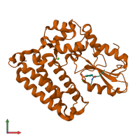 Hetero dimeric assembly 2 of PDB entry 3plf coloured by chemically distinct molecules, front view.