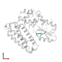 MetRD peptide in PDB entry 3plf, assembly 2, front view.