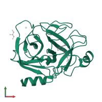 Serine protease 1 in PDB entry 3plp, assembly 1, front view.