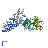 PDB entry 3pnb coloured by chain, top view.