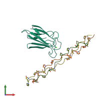 PDB entry 3pob coloured by chain, front view.