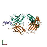 PDB entry 3pp4 coloured by chain, front view.