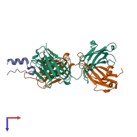 PDB entry 3pp4 coloured by chain, top view.