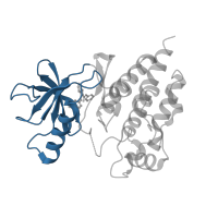 The deposited structure of PDB entry 3ppk contains 2 copies of CATH domain 3.30.200.20 (Phosphorylase Kinase; domain 1) in Serine/threonine-protein kinase B-raf. Showing 1 copy in chain B.