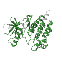 The deposited structure of PDB entry 3ppk contains 2 copies of Pfam domain PF07714 (Protein tyrosine and serine/threonine kinase) in Serine/threonine-protein kinase B-raf. Showing 1 copy in chain B.