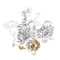 The deposited structure of PDB entry 3pq2 contains 4 copies of Pfam domain PF06628 (Catalase-related immune-responsive) in Catalase HPII. Showing 1 copy in chain A.