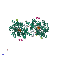 Hetero tetrameric assembly 2 of PDB entry 3pqr coloured by chemically distinct molecules, top view.