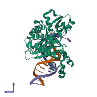 PDB entry 3pr4 coloured by chain, side view.