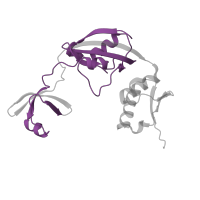 The deposited structure of PDB entry 3prd contains 1 copy of Pfam domain PF00254 (FKBP-type peptidyl-prolyl cis-trans isomerase) in Long-type peptidyl-prolyl cis-trans isomerase. Showing 1 copy in chain A.