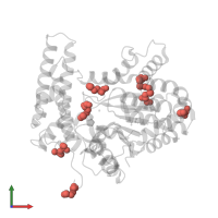 Modified residue MSE in PDB entry 3pt1, assembly 1, front view.