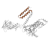 The deposited structure of PDB entry 3puw contains 1 copy of Pfam domain PF20872 (MalF, N-terminal region, transmembrane helices) in Maltose/maltodextrin transport system permease protein MalF. Showing 1 copy in chain B [auth F].