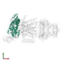 Maltose/maltodextrin-binding periplasmic protein in PDB entry 3puw, assembly 1, front view.