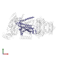 Maltose/maltodextrin transport system permease protein MalG in PDB entry 3puw, assembly 1, front view.