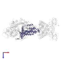 Maltose/maltodextrin transport system permease protein MalG in PDB entry 3puw, assembly 1, top view.