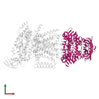 Maltose/maltodextrin import ATP-binding protein MalK in PDB entry 3puw, assembly 1, front view.