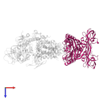 Maltose/maltodextrin import ATP-binding protein MalK in PDB entry 3puw, assembly 1, top view.