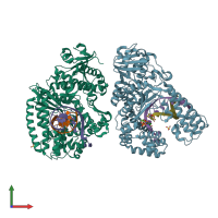 PDB entry 3pv8 coloured by chain, front view.