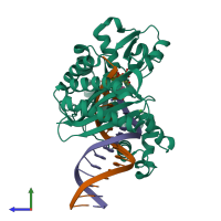 PDB entry 3pw5 coloured by chain, side view.