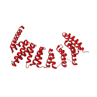 The deposited structure of PDB entry 3pz2 contains 1 copy of CATH domain 1.25.40.120 (Serine Threonine Protein Phosphatase 5, Tetratricopeptide repeat) in Geranylgeranyl transferase type-2 subunit alpha. Showing 1 copy in chain A.