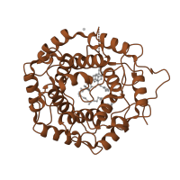 The deposited structure of PDB entry 3pz2 contains 1 copy of CATH domain 1.50.10.20 (Glycosyltransferase) in Geranylgeranyl transferase type-2 subunit beta. Showing 1 copy in chain B.