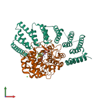 Hetero dimeric assembly 1 of PDB entry 3pz2 coloured by chemically distinct molecules, front view.