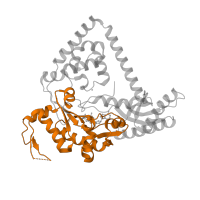 The deposited structure of PDB entry 3pzp contains 2 copies of Pfam domain PF00817 (impB/mucB/samB family) in DNA polymerase kappa. Showing 1 copy in chain B.