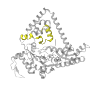 The deposited structure of PDB entry 3pzp contains 2 copies of Pfam domain PF11798 (IMS family HHH motif) in DNA polymerase kappa. Showing 1 copy in chain B.