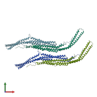 PDB entry 3q0k coloured by chain, front view.