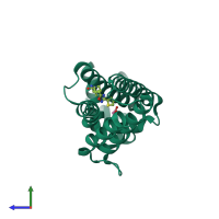 PDB entry 3q0w coloured by chain, side view.