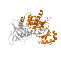 The deposited structure of PDB entry 3q1k contains 4 copies of Pfam domain PF07478 (D-ala D-ala ligase C-terminus) in D-alanine--D-alanine ligase A. Showing 1 copy in chain A.