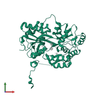 Alpha-synuclein in PDB entry 3q27, assembly 1, front view.