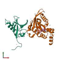 PDB entry 3q3j coloured by chain, front view.