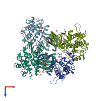 PDB entry 3q4u coloured by chain, top view.
