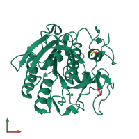 PDB entry 3q5g coloured by chain, front view.