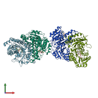 PDB entry 3q6i coloured by chain, front view.