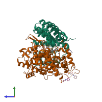 PDB entry 3q79 coloured by chain, side view.