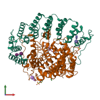 PDB entry 3q7f coloured by chain, front view.