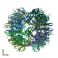 PDB entry 3q7h coloured by chain, front view.