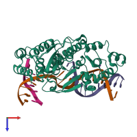 Hetero tetrameric assembly 2 of PDB entry 3q8m coloured by chemically distinct molecules, top view.