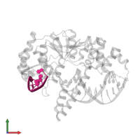 DNA (5'-D(*AP*CP*CP*GP*TP*CP*C)-3') in PDB entry 3q8m, assembly 1, front view.