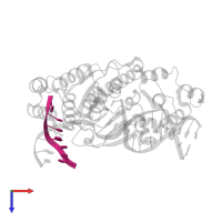 DNA (5'-D(*AP*CP*CP*GP*TP*CP*C)-3') in PDB entry 3q8m, assembly 1, top view.