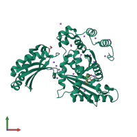 PDB entry 3qae coloured by chain, front view.