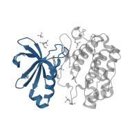 The deposited structure of PDB entry 3qcs contains 1 copy of CATH domain 3.30.200.20 (Phosphorylase Kinase; domain 1) in 3-phosphoinositide-dependent protein kinase 1. Showing 1 copy in chain A.